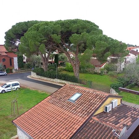 Apartments Ingrid Novigrad Istria Εξωτερικό φωτογραφία