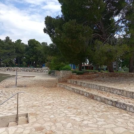 Apartments Ingrid Novigrad Istria Εξωτερικό φωτογραφία