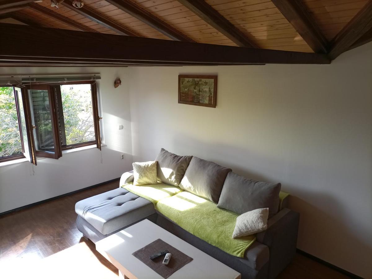 Apartments Ingrid Novigrad Istria Εξωτερικό φωτογραφία