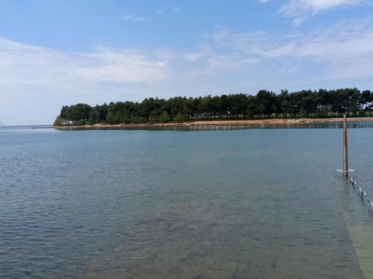 Apartments Ingrid Novigrad Istria Εξωτερικό φωτογραφία