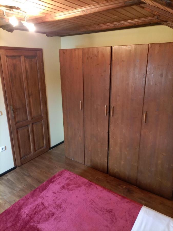 Apartments Ingrid Novigrad Istria Εξωτερικό φωτογραφία