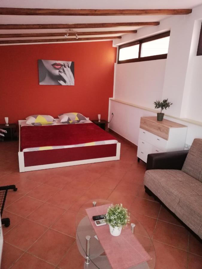 Apartments Ingrid Novigrad Istria Εξωτερικό φωτογραφία