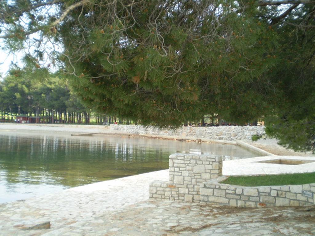 Apartments Ingrid Novigrad Istria Εξωτερικό φωτογραφία