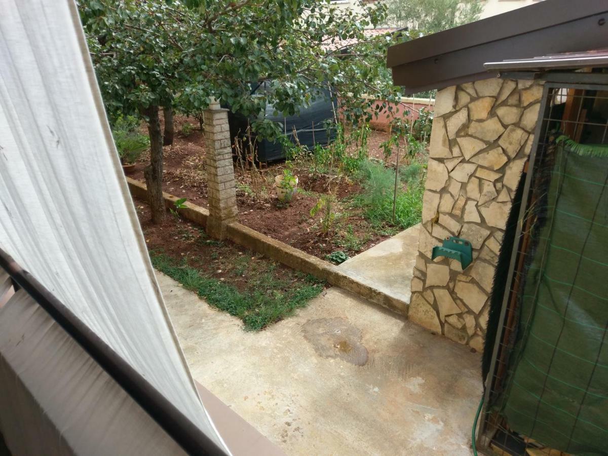 Apartments Ingrid Novigrad Istria Εξωτερικό φωτογραφία