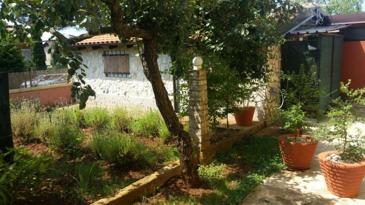 Apartments Ingrid Novigrad Istria Εξωτερικό φωτογραφία