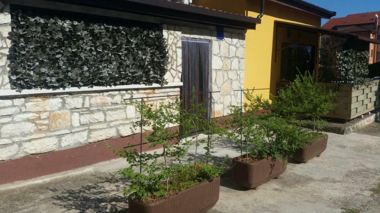 Apartments Ingrid Novigrad Istria Εξωτερικό φωτογραφία