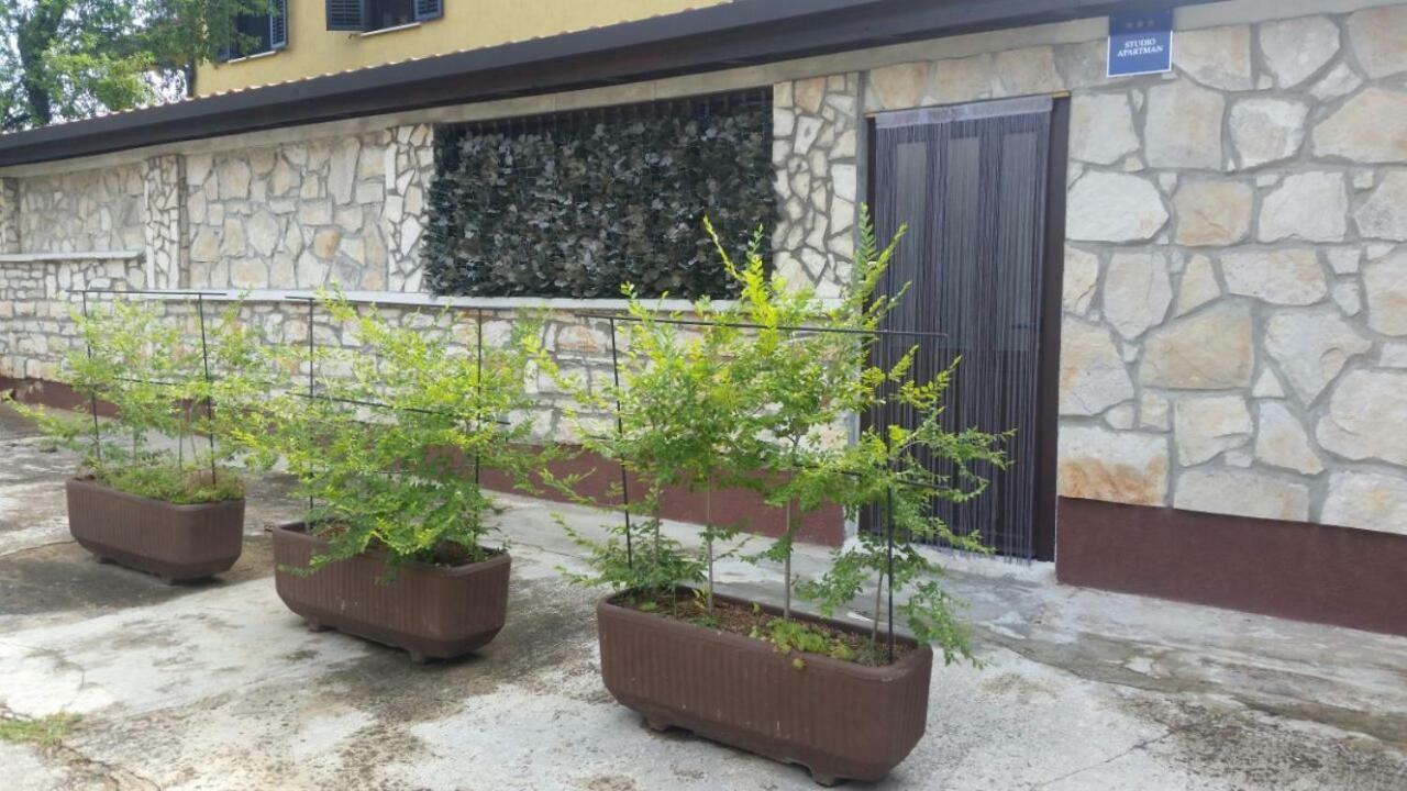 Apartments Ingrid Novigrad Istria Εξωτερικό φωτογραφία